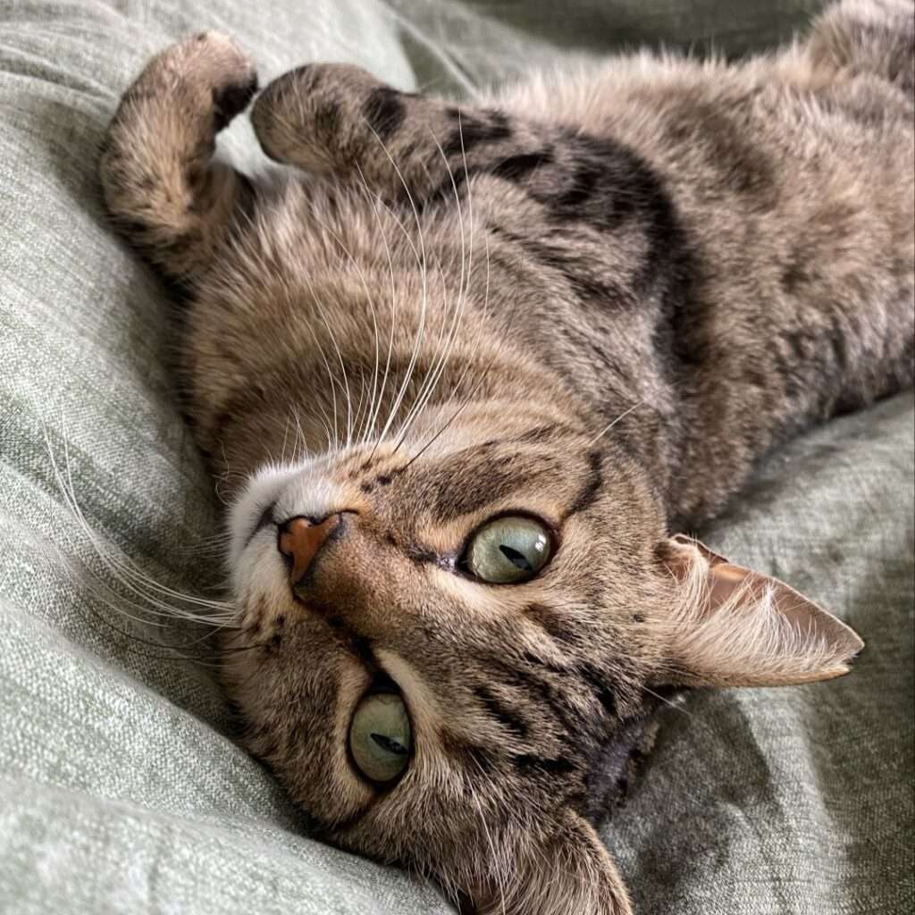 387721233 329380172969868 7327763620841532121 n